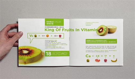 北京期刊杂志印刷价格期刊杂志印刷好吗